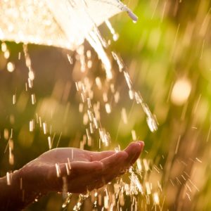 LA LLUVIA TARDIA