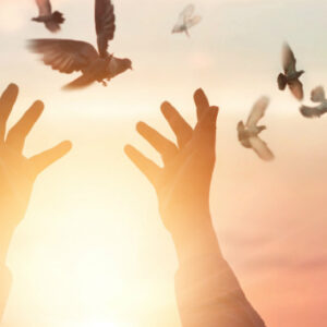 Manifestaciones Divinas