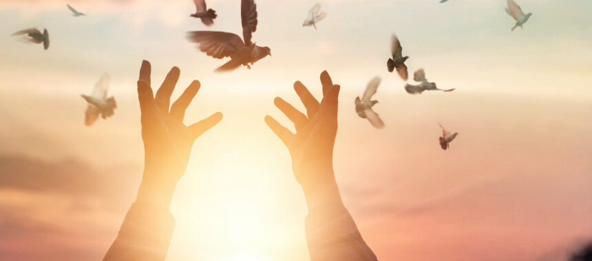 Manifestaciones Divinas