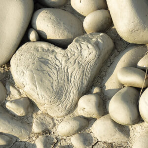 El Endurecimiento del Corazón El Endurecimiento del Corazón