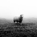 Alejandro Huanca Acosta